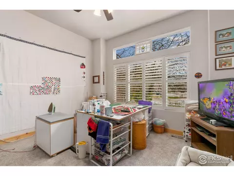 5293 Reef Ct, Windsor, CO 80528 photo 19