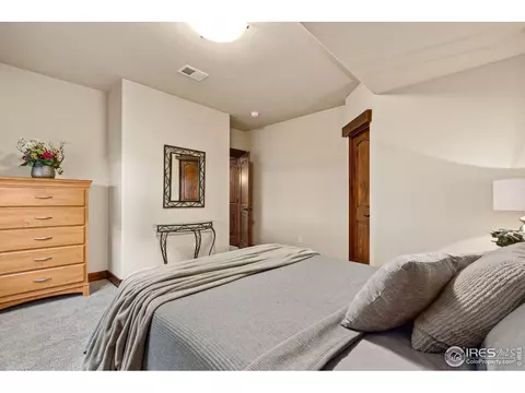 6611 Murano Dr, Windsor, CO 80550 photo 19