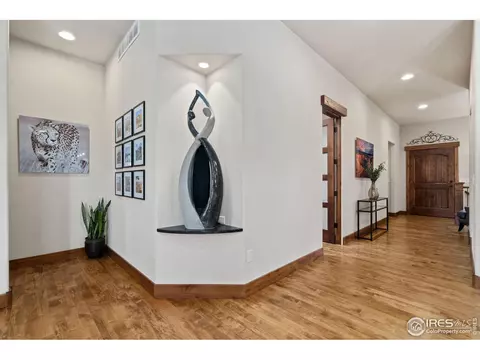 6611 Murano Dr, Windsor, CO 80550 photo 29