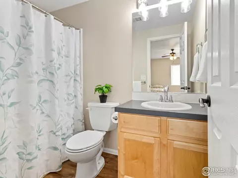 9732 Roadrunner Ave, Longmont, CO 80504 photo 33