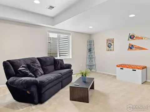 9732 Roadrunner Ave, Longmont, CO 80504 photo 30