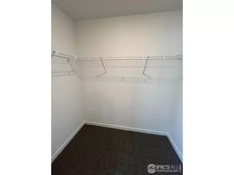 3709 Katina Way, Evans, CO 80620 photo 14