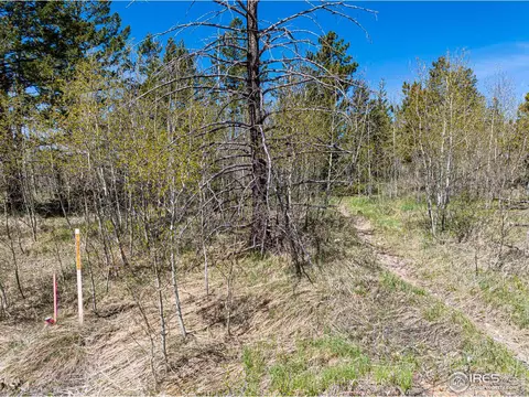 0 Gold Hill Rd, Boulder, CO 80302 photo 5