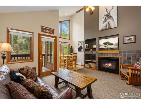 1051 Fall River Ct #5, Estes Park, CO 80517