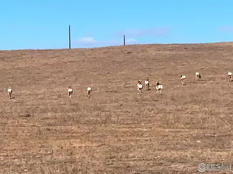 Weld County Road 53, Ault, CO 80610 photo 6