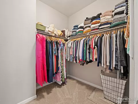 1858 Ruddlesway Dr, Windsor, CO 80550 photo 23