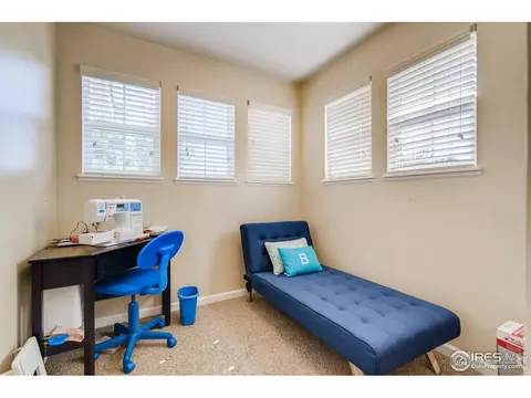 1412 Grand Ave, Windsor, CO 80550 photo 23