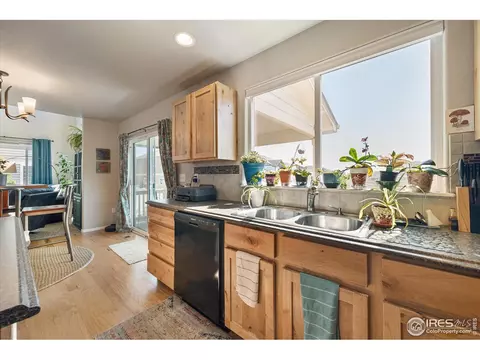 802 Mt Sneffels Ave, Windsor, CO 80550 photo 14