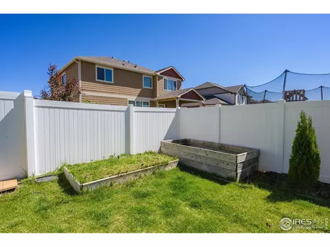 802 Mt Sneffels Ave, Windsor, CO 80550 photo 31