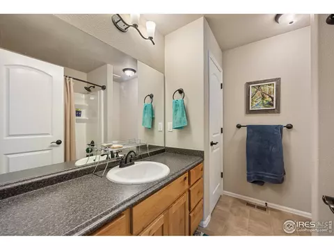 802 Mt Sneffels Ave, Windsor, CO 80550 photo 23