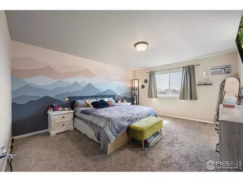 802 Mt Sneffels Ave, Windsor, CO 80550 photo 17