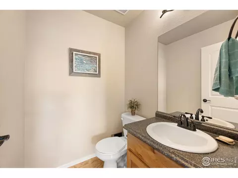 802 Mt Sneffels Ave, Windsor, CO 80550 photo 16