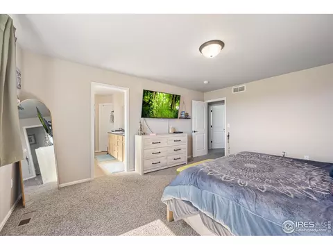 802 Mt Sneffels Ave, Windsor, CO 80550 photo 18