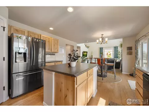 802 Mt Sneffels Ave, Windsor, CO 80550 photo 15