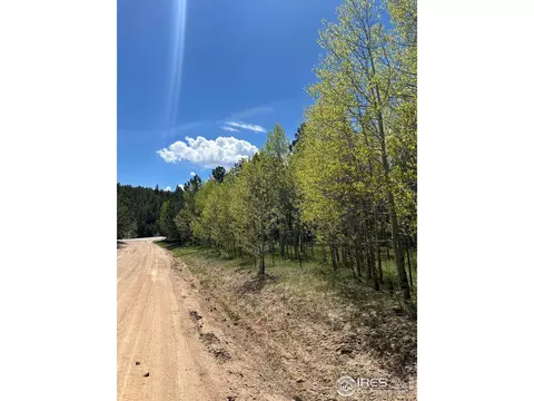 75 Overland Dr, Ward, CO 80481 photo 13