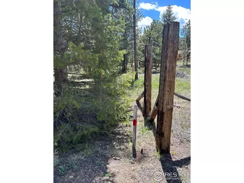 75 Overland Dr, Ward, CO 80481 photo 18