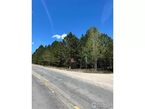 75 Overland Dr, Ward, CO 80481 photo 3