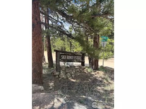 75 Overland Dr, Ward, CO 80481 photo 15