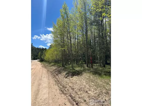 75 Overland Dr, Ward, CO 80481 photo 12