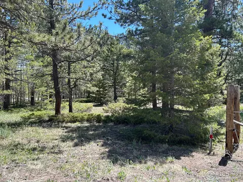 75 Overland Dr, Ward, CO 80481 photo 17