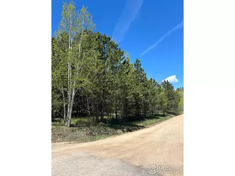 75 Overland Dr, Ward, CO 80481 photo 5