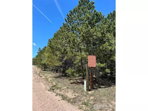 75 Overland Dr, Ward, CO 80481 photo 4