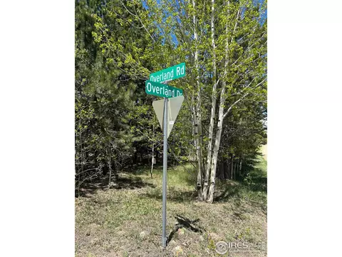 75 Overland Dr, Ward, CO 80481 photo 9