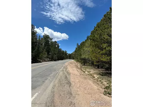 75 Overland Dr, Ward, CO 80481 photo 14