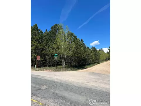 75 Overland Dr, Ward, CO 80481