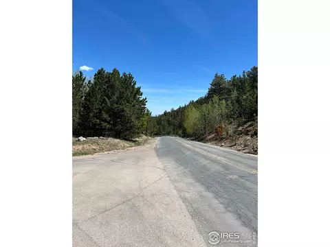 75 Overland Dr, Ward, CO 80481 photo 10