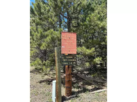 75 Overland Dr, Ward, CO 80481 photo 8