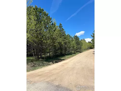 75 Overland Dr, Ward, CO 80481 photo 6