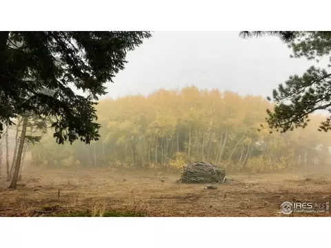 641 Ranch Rd, Ward, CO 80481 photo 31