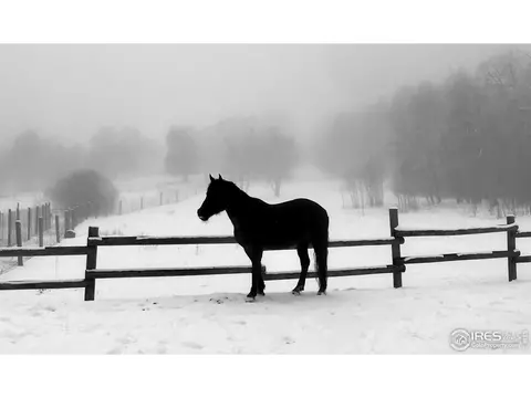 641 Ranch Rd, Ward, CO 80481 photo 32