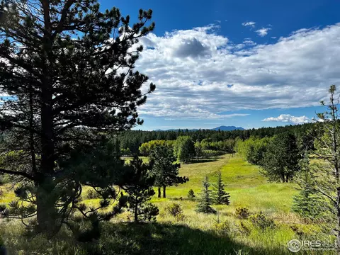 641 Ranch Rd, Ward, CO 80481 photo 36