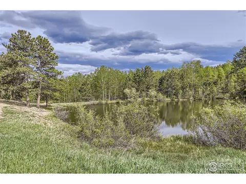 641 Ranch Rd, Ward, CO 80481 photo 30