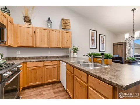 603 Rosedale St, Severance, CO 80550 photo 15