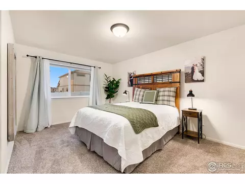 603 Rosedale St, Severance, CO 80550 photo 16