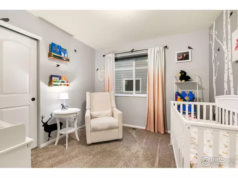 603 Rosedale St, Severance, CO 80550 photo 19