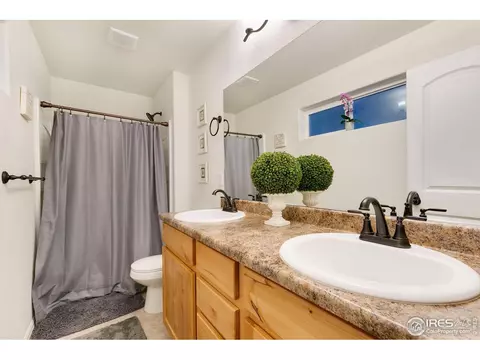 603 Rosedale St, Severance, CO 80550 photo 18