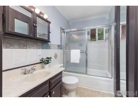 590 Pine Dr, Windsor, CO 80550 photo 21