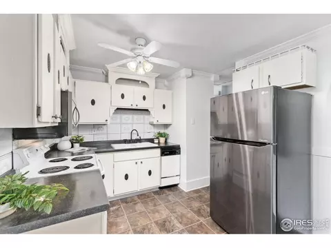 590 Pine Dr, Windsor, CO 80550 photo 9