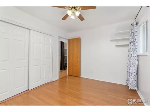 590 Pine Dr, Windsor, CO 80550 photo 18
