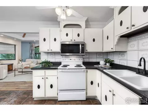 590 Pine Dr, Windsor, CO 80550 photo 10
