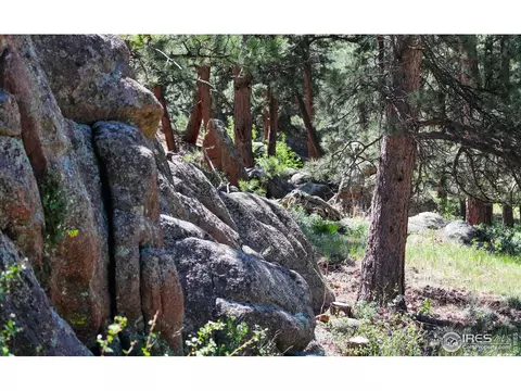 5100 Longmont Dam Rd, Lyons, CO 80540 photo 8