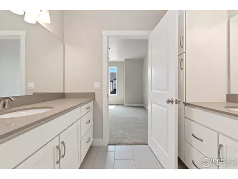 6825 Maple Leaf Dr #201, Timnath, CO 80547 photo 7