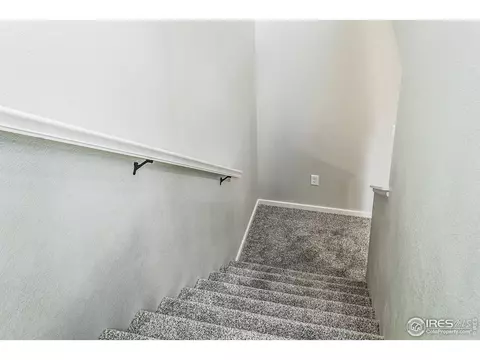 2116 Falling Leaf Dr #6, Windsor, CO 80550 photo 29