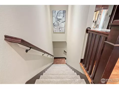 3272 Boundless Ln, Timnath, CO 80547 photo 19