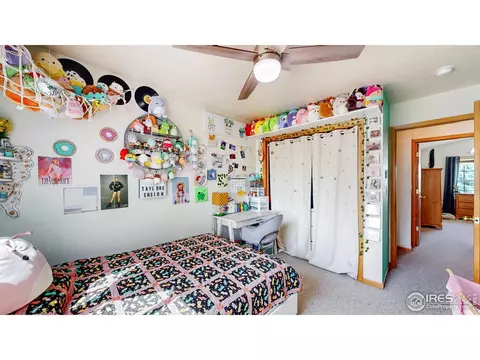 3221 Dickson Ct, Evans, CO 80620 photo 28
