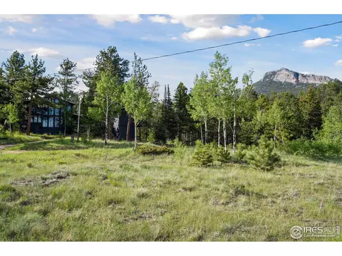 255 Bill Waite Rd, Allenspark, CO 80510